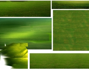 ModernGrass