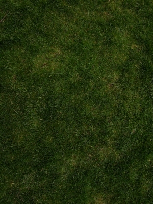 ModernGrass