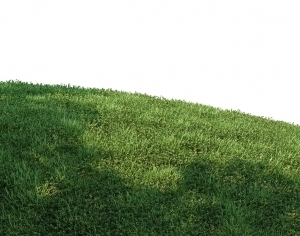 ModernGrass