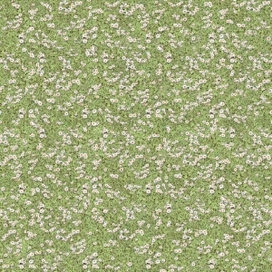 ModernGrass
