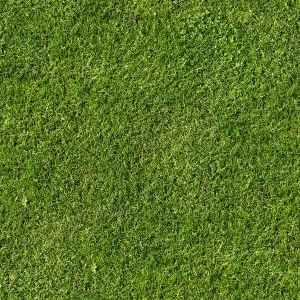 ModernGrass