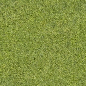 ModernGrass
