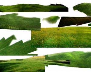 ModernGrass