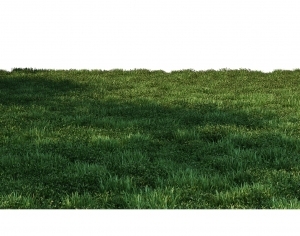 ModernGrass