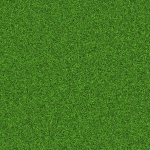 ModernGrass