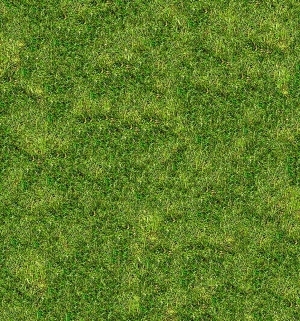 ModernGrass