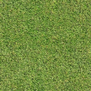 ModernGrass