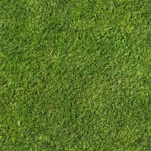 ModernGrass