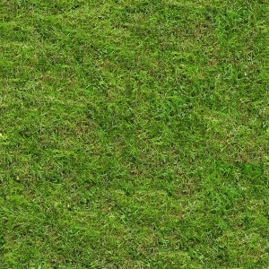 ModernGrass