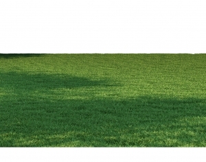 ModernGrass