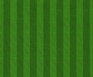 ModernGrass