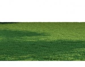 ModernGrass