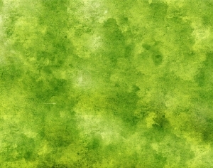 ModernGrass