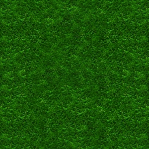 ModernGrass