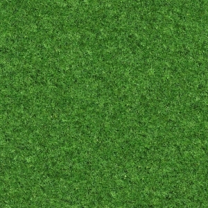ModernGrass