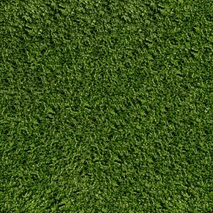 ModernGrass