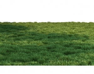 ModernGrass