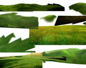 ModernGrass