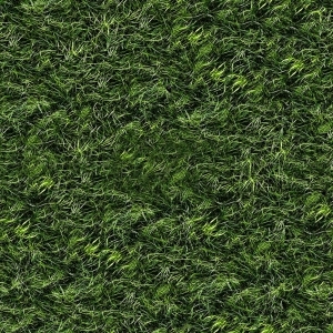 ModernGrass