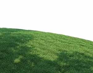 ModernGrass