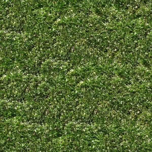 ModernGrass