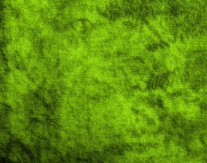 ModernGrass
