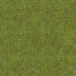 ModernGrass