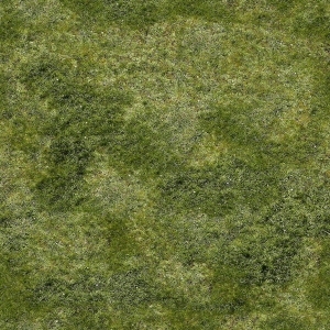 ModernGrass