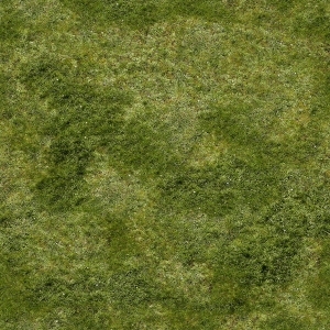 ModernGrass