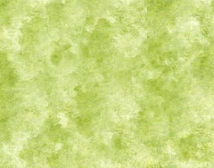 ModernGrass