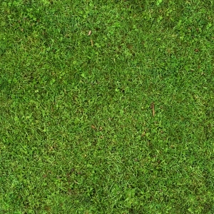 ModernGrass