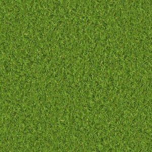 ModernGrass