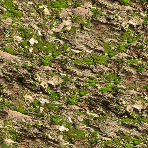 ModernGrass