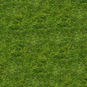 ModernGrass