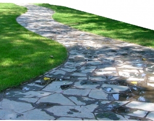 ModernGrass