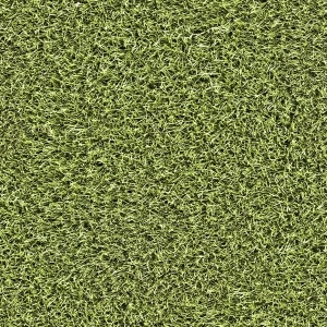 ModernGrass