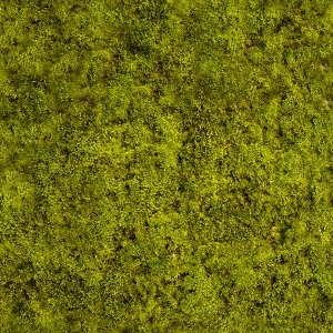 ModernGrass