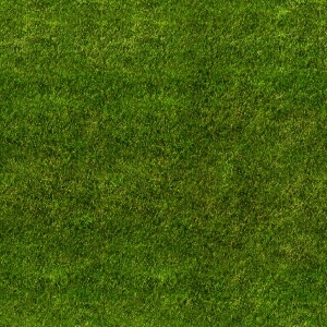 ModernGrass