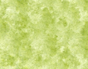 ModernGrass