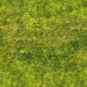 ModernGrass