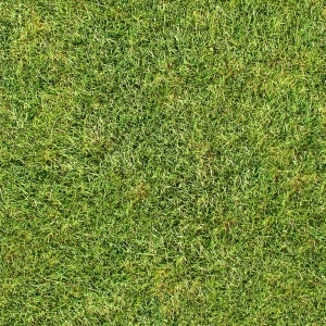 ModernGrass