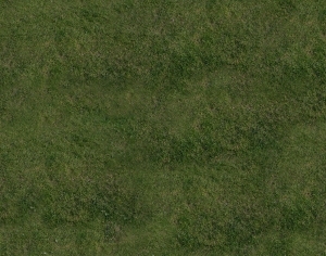 ModernGrass
