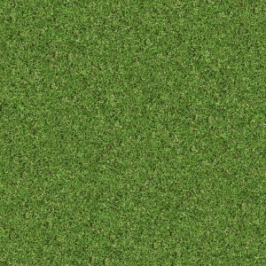 ModernGrass