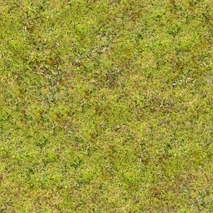 ModernGrass