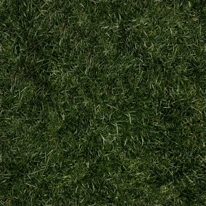 ModernGrass
