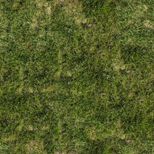 ModernGrass