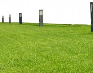 ModernGrass