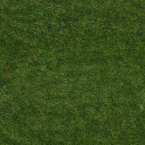ModernGrass