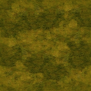 ModernGrass