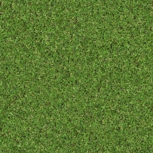 ModernGrass